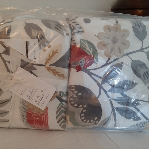Pottery Barn RARE Jolly Bird Quilted EURO shams (2 shams) - Picture 8 of 8